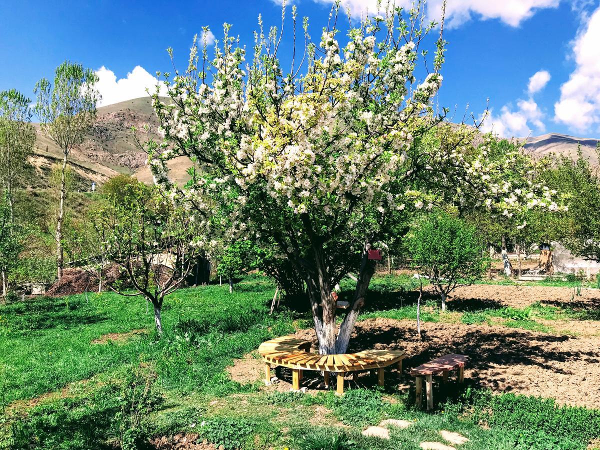 Ashot & Gohar B&B Ch'iva Luaran gambar